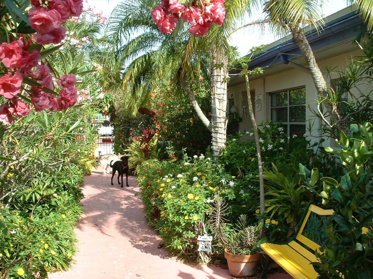 Affordable Beach Condos - One Bedroom Dlx Condos St. Pete Beach Ngoại thất bức ảnh